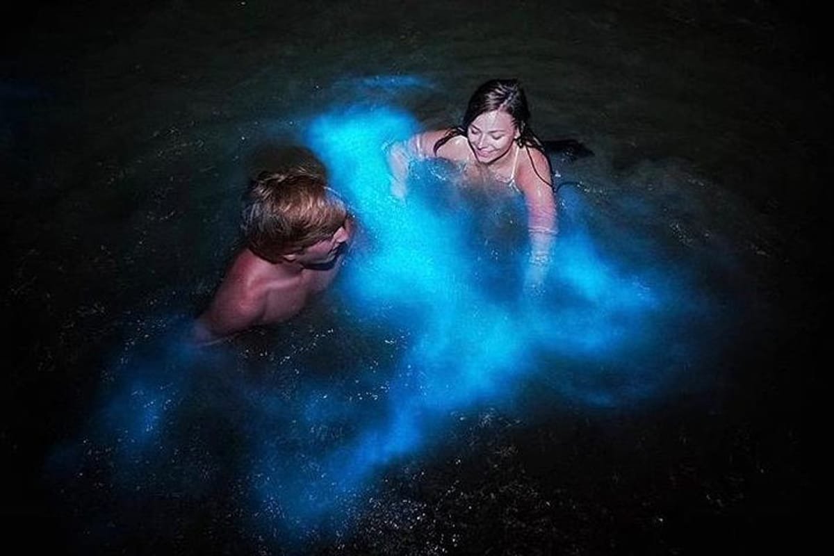 Luminous Lagoon Jamaica